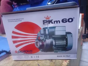 Pkm60 0.5hp Pedrollo Water Pump/Made in Italy