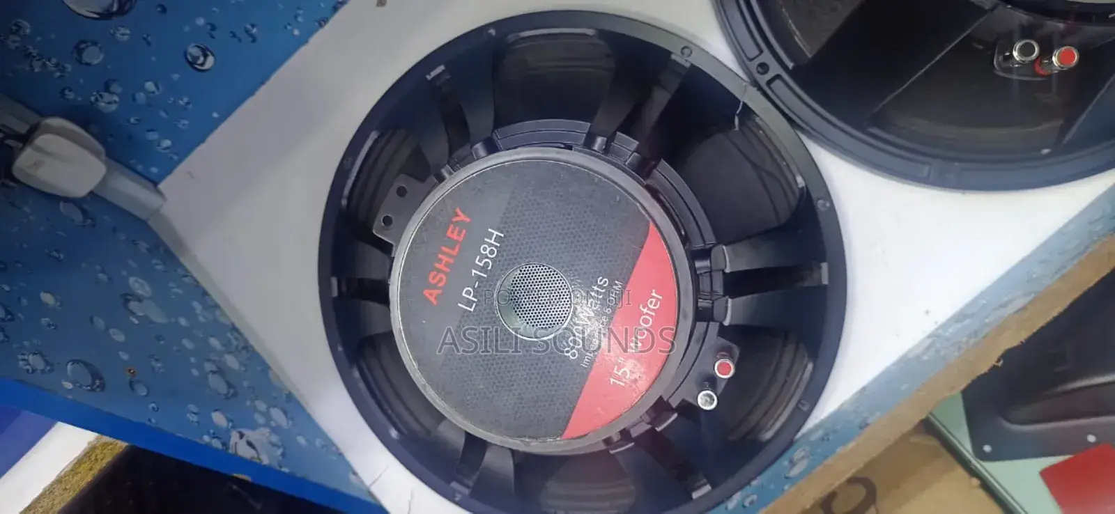 Ashley 15 Inches Speaker