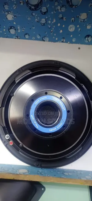 Ashley 15 Inches Speaker