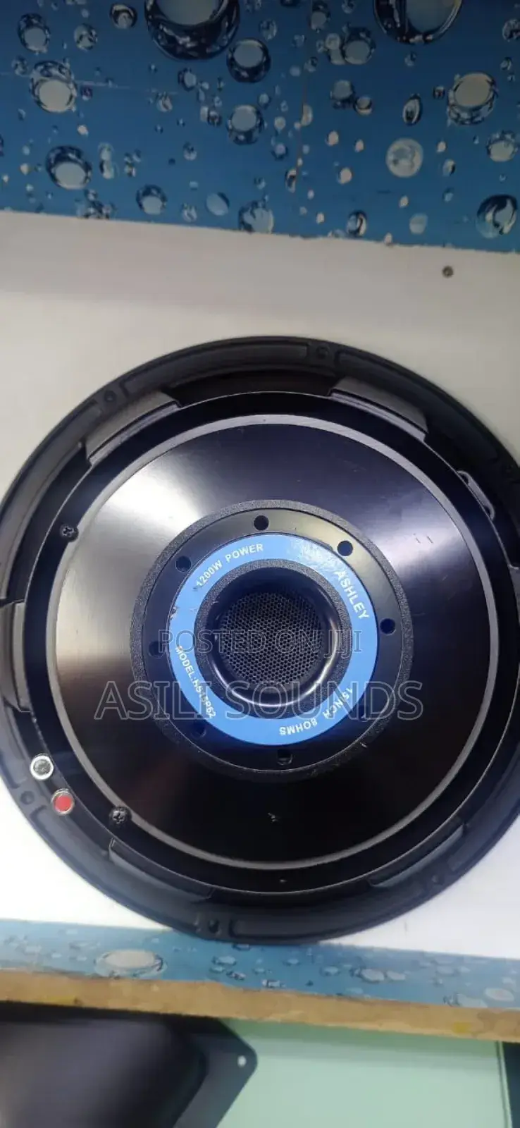 Ashley 15 Inches Speaker