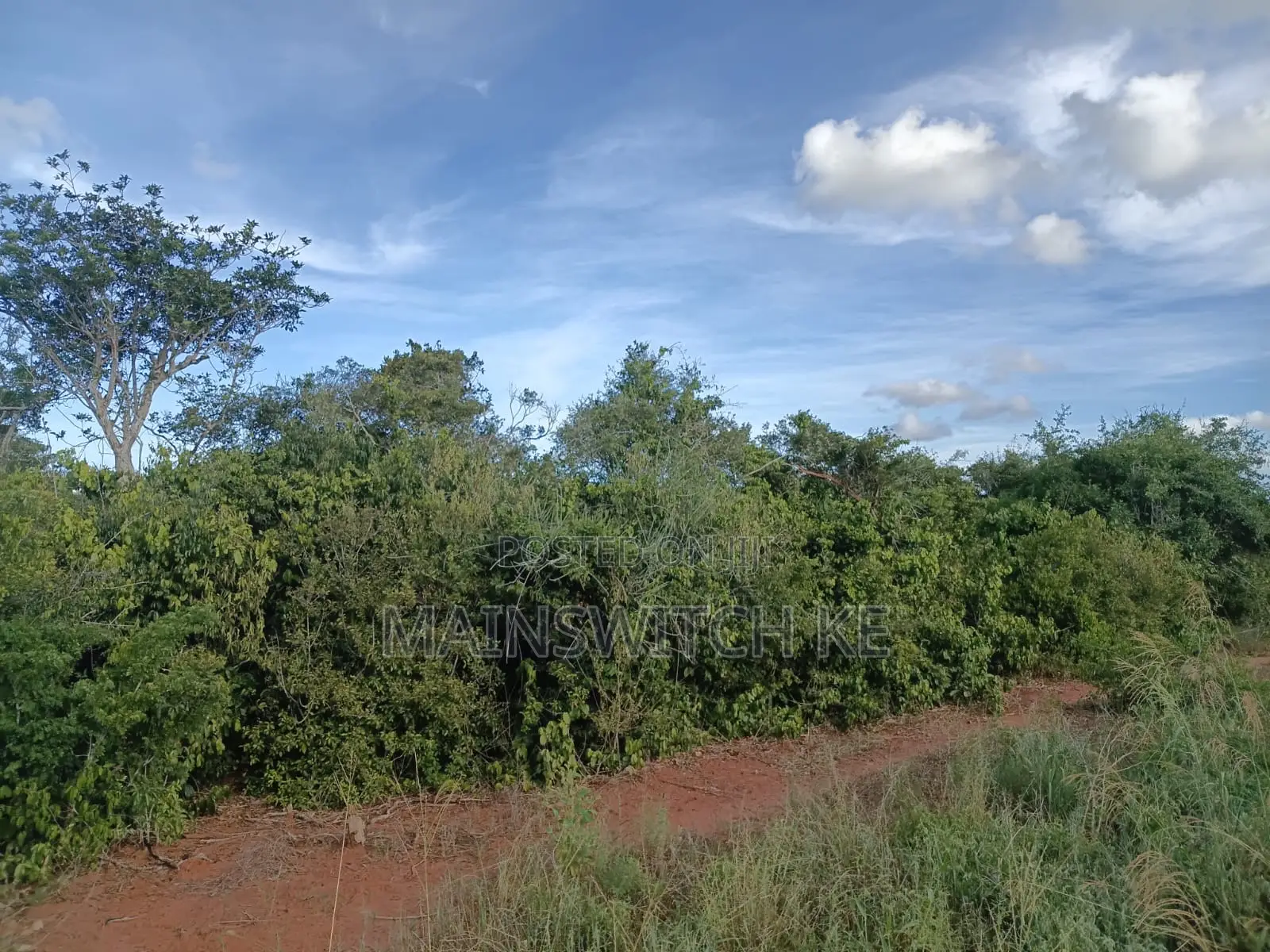 Own a Parcel of 28 Acres With Unique Numbers Wait for Tittle Deed
