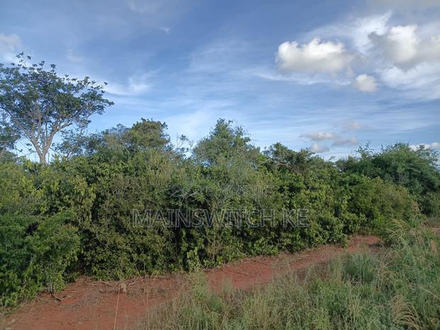Own a Parcel of 28 Acres With Unique Numbers Wait for Tittle Deed