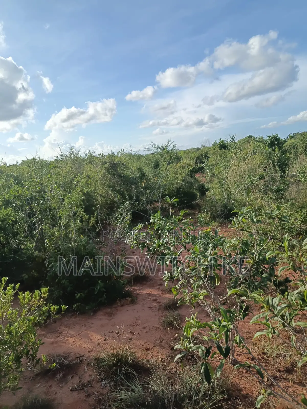 Own a Parcel of 28 Acres With Unique Numbers Wait for Tittle Deed