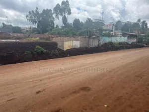 1/4 Hectares (120 by 100) Plot at Banana With Ready Title