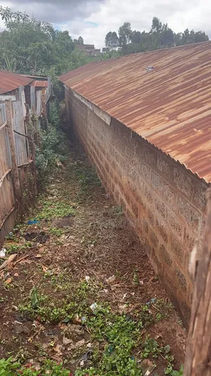 1/4 Hectares (120 by 100) Plot at Banana With Ready Title
