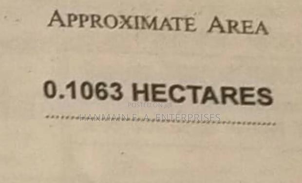 1/4 Hectares (120 by 100) Plot at Banana With Ready Title - thumbnail 2