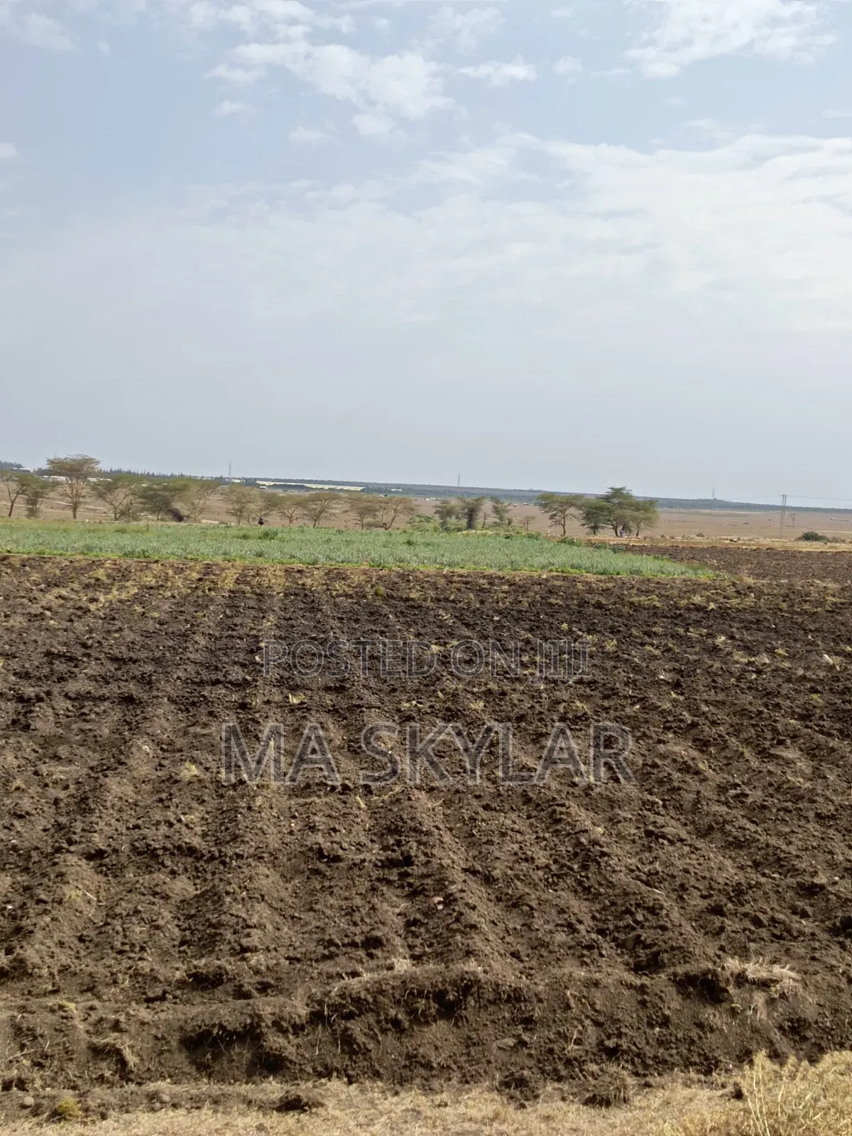 Plots for Sale in Matuu