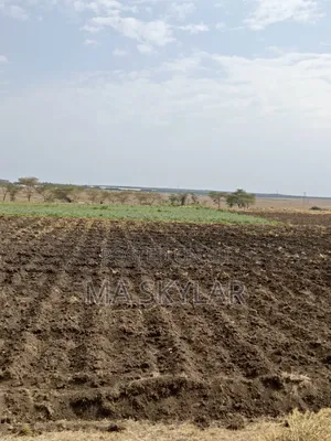 Plots for Sale in Matuu