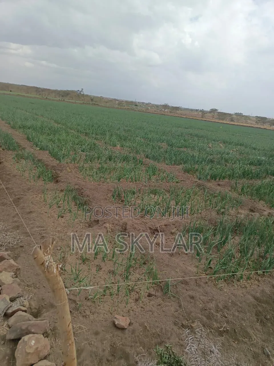 Plots for Sale in Matuu