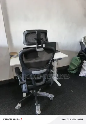 Imported Modern Adjustable Height Electric Desk + Ergonomic DBH Chair