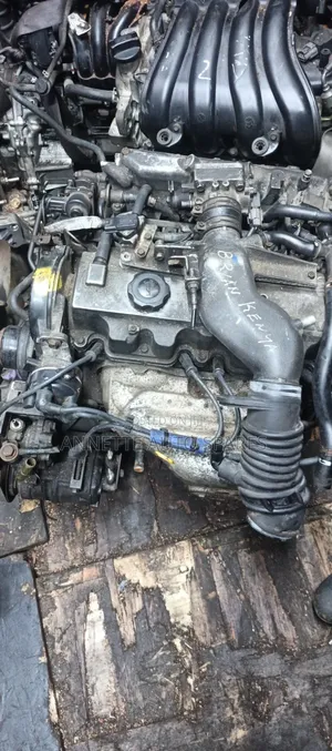 F8 Complete Plug