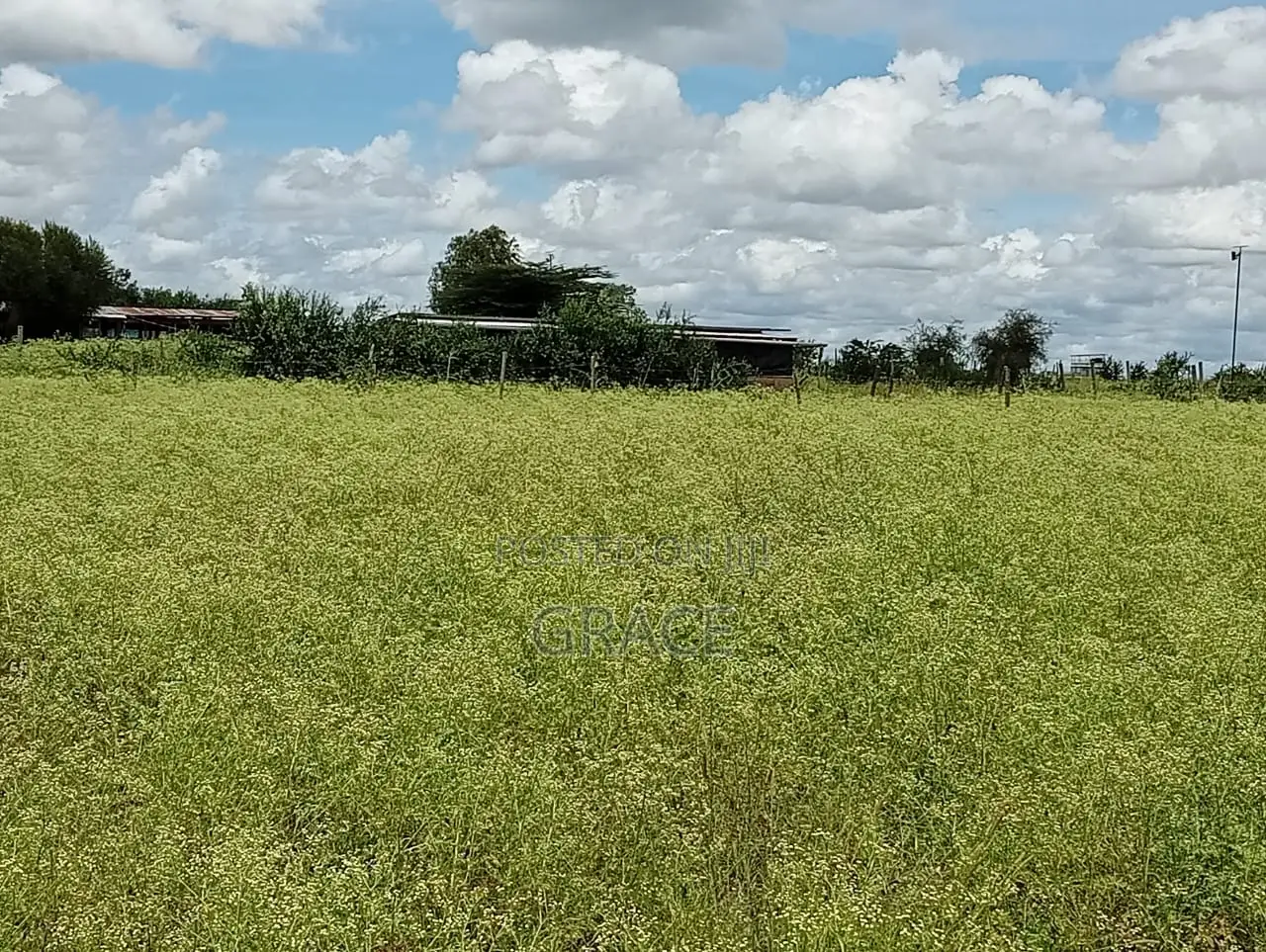 Kisaju Prime Plots for Sale