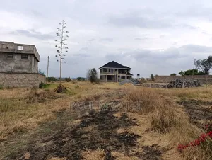Ready to Build Plot Measuring 420 Square Metres