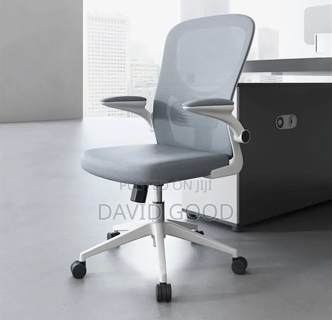 Ergonomic Office Chair