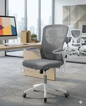 Grey  White Chair