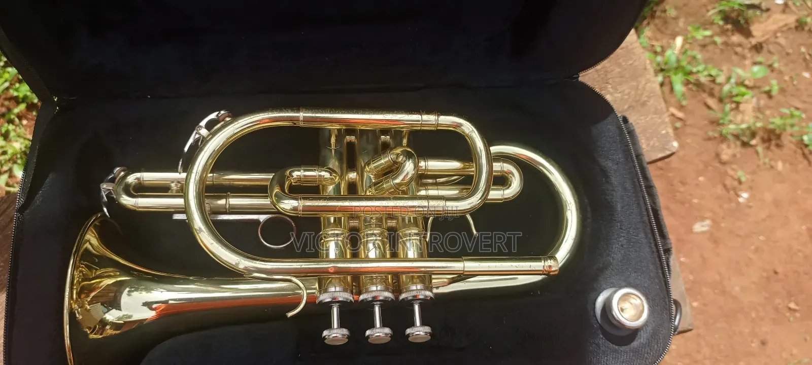 Cornet Premier