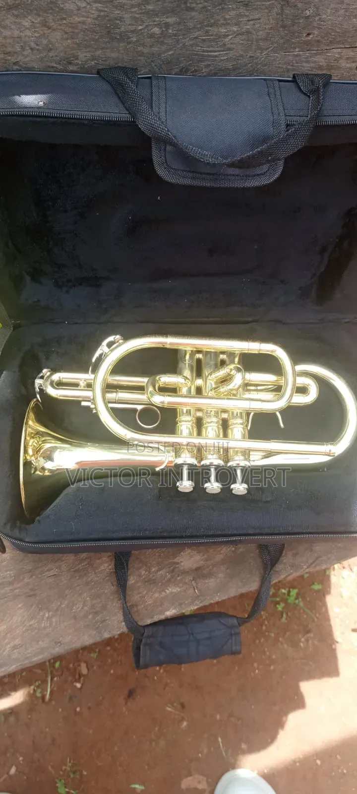 Cornet Premier