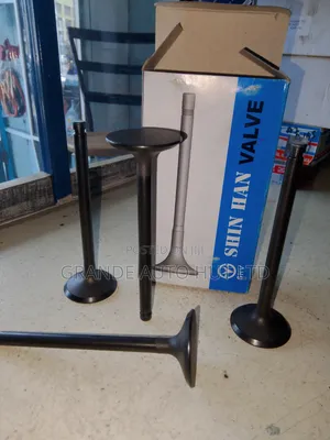 Intake Valve Hyundai Hd72/65 (Shv Brand)
