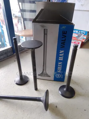 Intake Valve Hyundai Hd72/65 (Shv Brand)