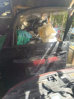 Mitsubishi Delica Front Left Door