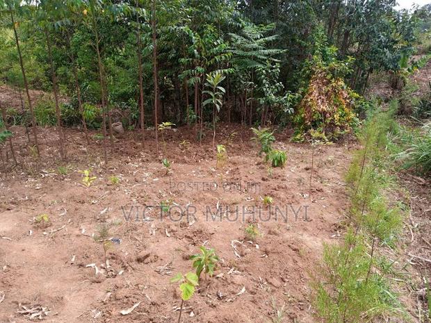 Land for Sale - thumbnail 2