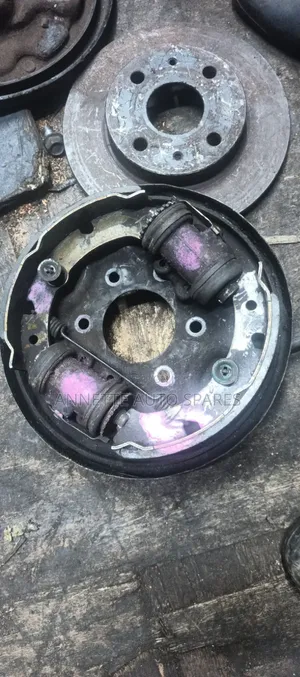 Back Plate Dyna
