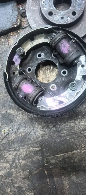 Back Plate Dyna