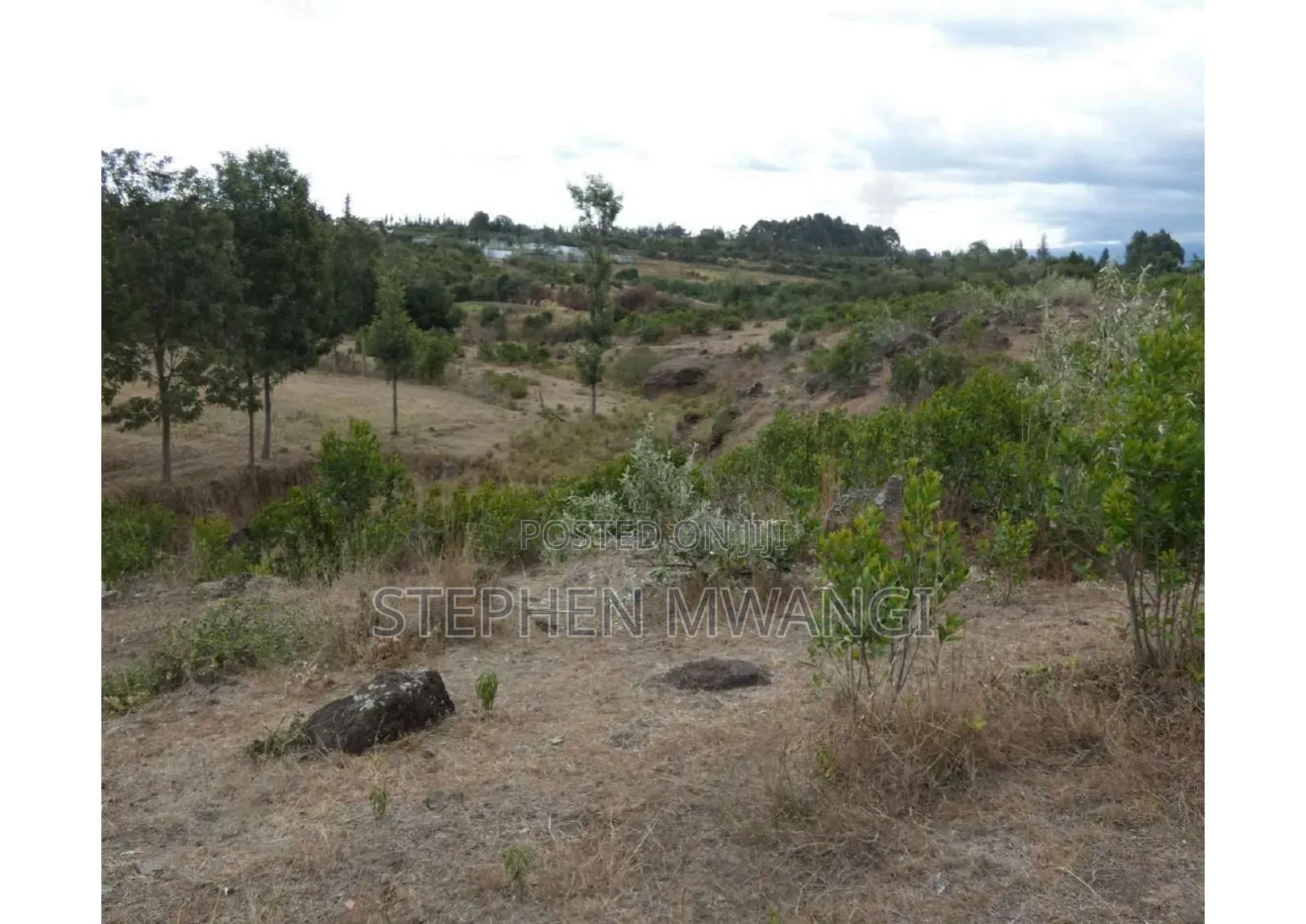Narumoro 2 Acres