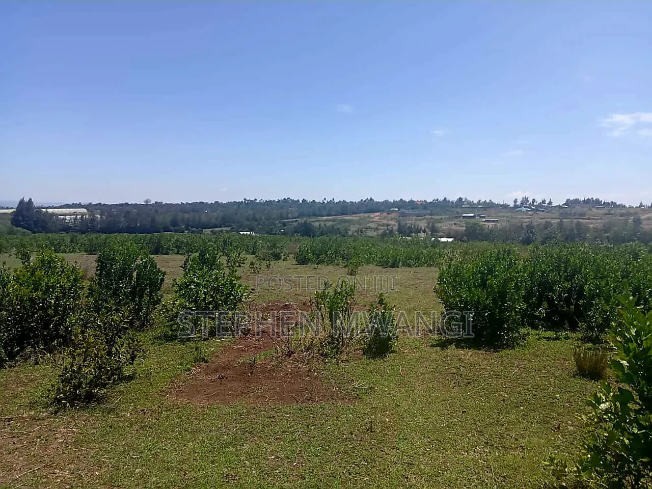 Narumoro 2 Acres