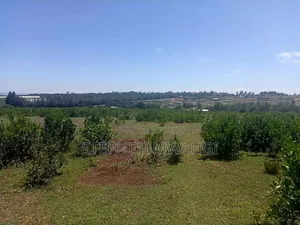 Narumoro 2 Acres