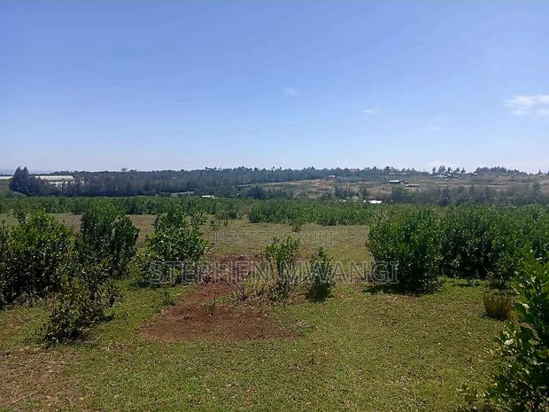 Narumoro 2 Acres - thumbnail 3