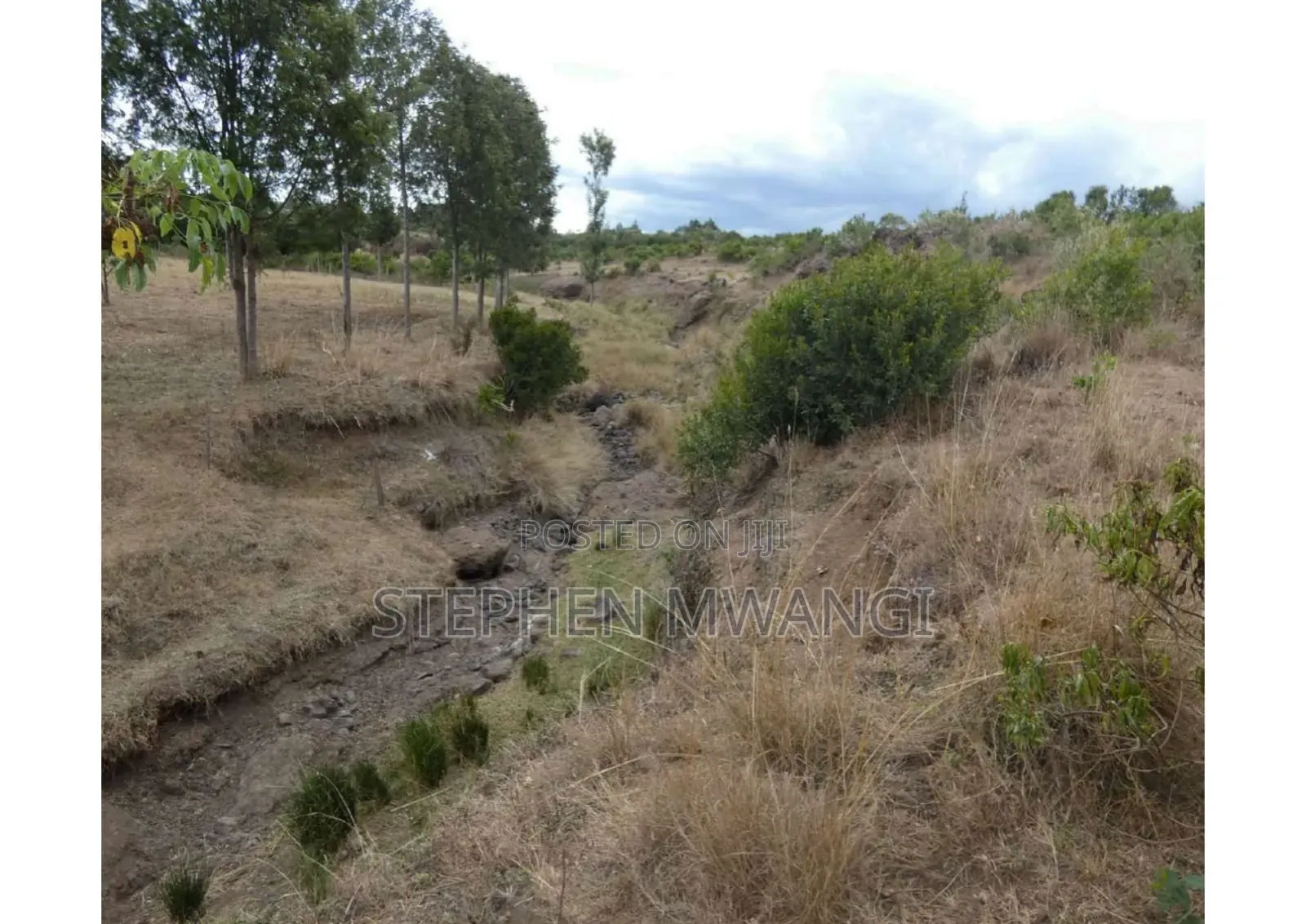 Narumoro 2 Acres
