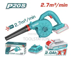 Cordless Lithium-Ion Blower 20v Complete Tabli200281
