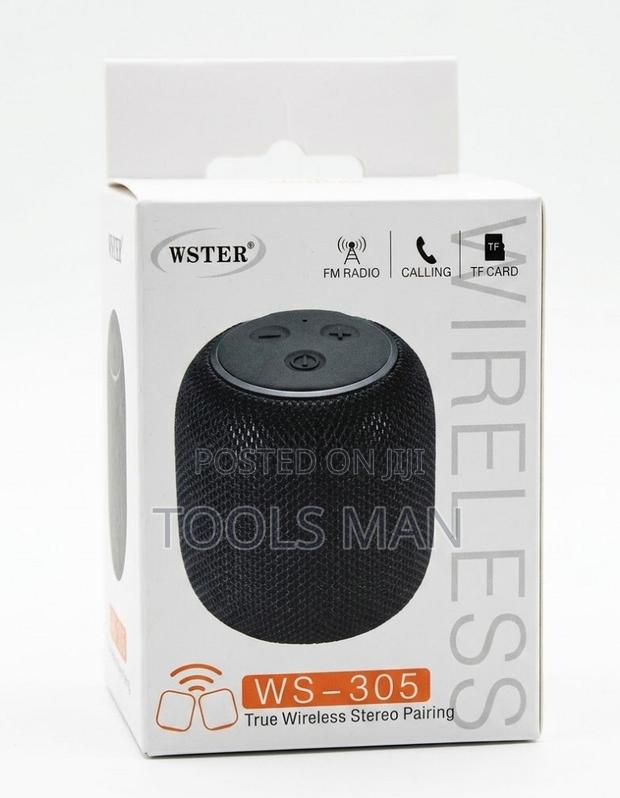 Portable Mini Bluetooth Speaker – Fm/Tf/TWS Pairing.Wster Ws-305