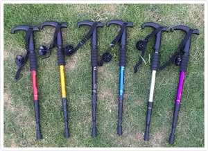 *Anti Shock Trekking Pole