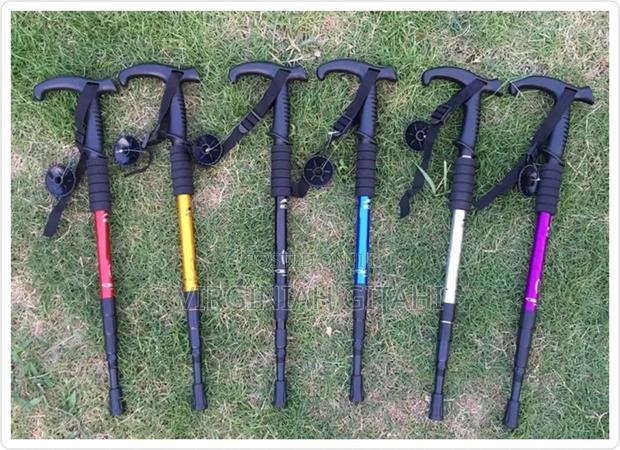 *Anti Shock Trekking Pole