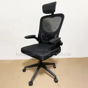 Ergonomic Home Mesh Chair With Adjustable Arms