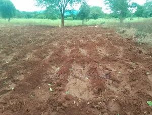 2 Acres of Land for Sale, at Nthingini 250mtrs FRM River.