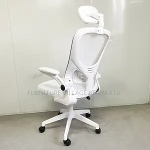 Ergonomic Home Mesh Chair With Adjustable Arms