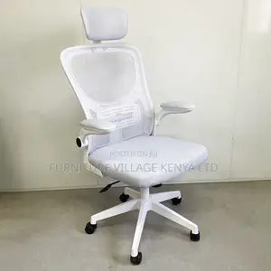 Ergonomic Home Mesh Chair With Adjustable Arms
