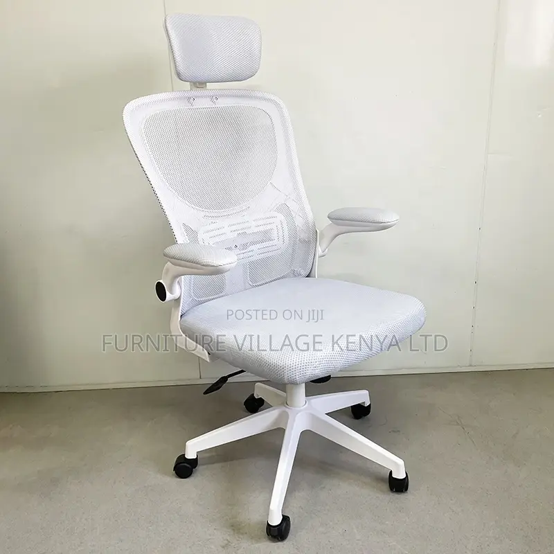 Ergonomic Home Mesh Chair With Adjustable Arms