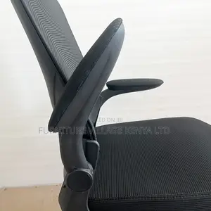 Ergonomic Home Mesh Chair With Adjustable Arms