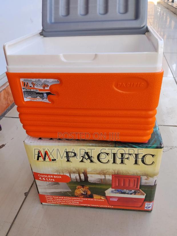 Small 4.5 Litre Pacific Ice Cooler Box