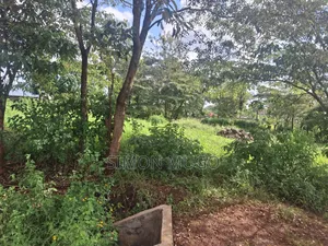 Kiahuria Prime Commercial 1/4 Ac on Tarmac Corner Plot