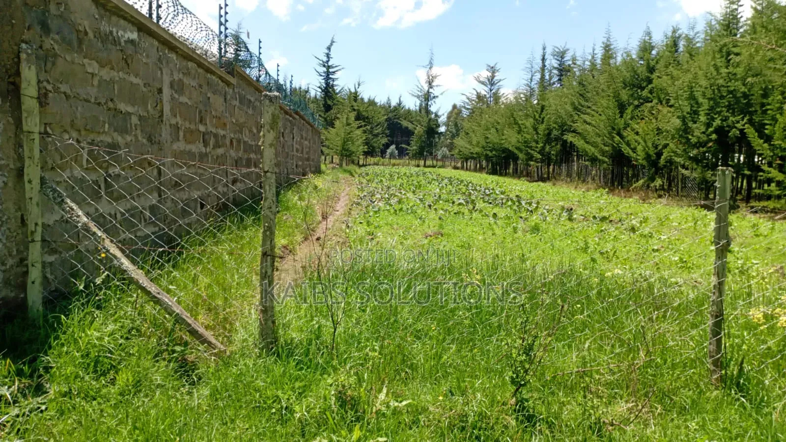 Plot for Sale at Engineer Kinangop 1.6m 1/2acre