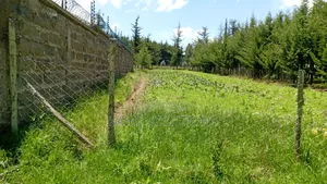 Plot for Sale at Engineer Kinangop 1.6m 1/2acre