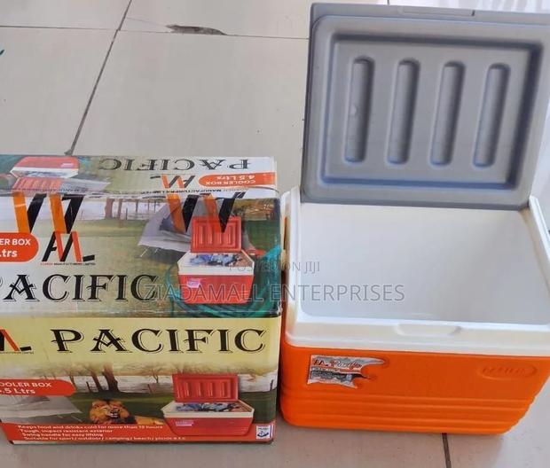 Cooler Box,Pacific 4.5l Cooler Box