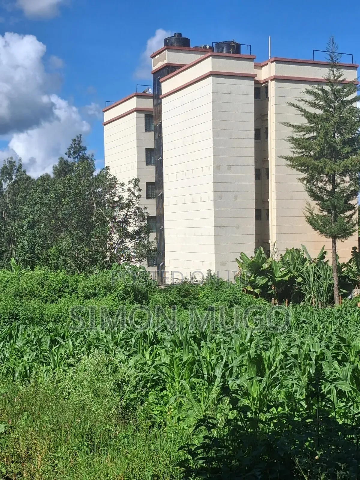 Ruaka Limuru Rd 1/4 Ac Ideal for Apartments Quick Sale 23 Millions