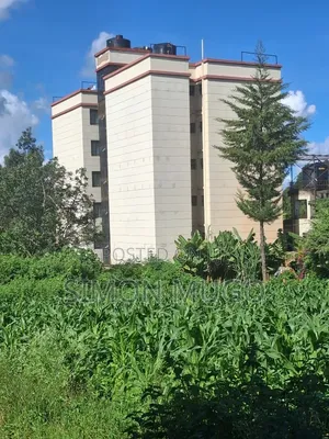 Ruaka Limuru Rd 1/4 Ac Ideal for Apartments Quick Sale 23 Millions