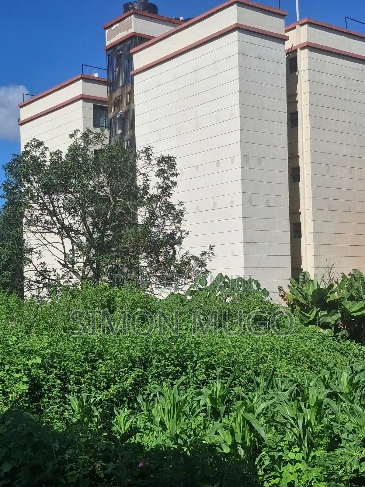 Ruaka Limuru Rd 1/4 Ac Ideal for Apartments Quick Sale 23 Millions